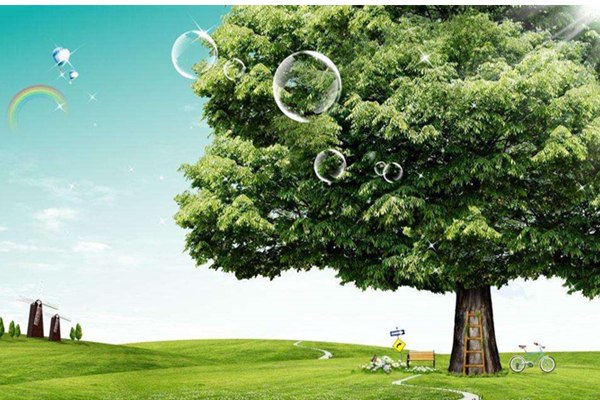 威大椰殼空氣凈化活性炭幫您打造一個五星級的居住環(huán)境!電話:13838587319 孫經(jīng)理